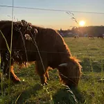 Schoene Mitten Im Pfaelzerwaldgebiet Leimen (Palatinate)