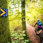 Schoene Mitten Im Pfaelzerwaldgebiet * Leimen (Palatinate)