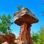 Schoene Mitten Im Pfaelzerwaldgebiet