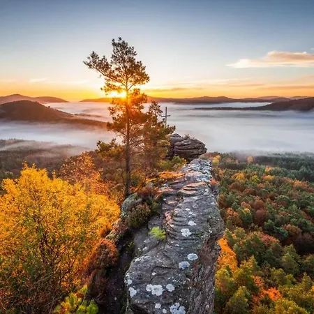 Appartement Schoene Mitten Im Pfaelzerwaldgebiet