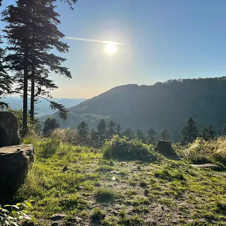 Appartement Schoene Mitten Im Pfaelzerwaldgebiet