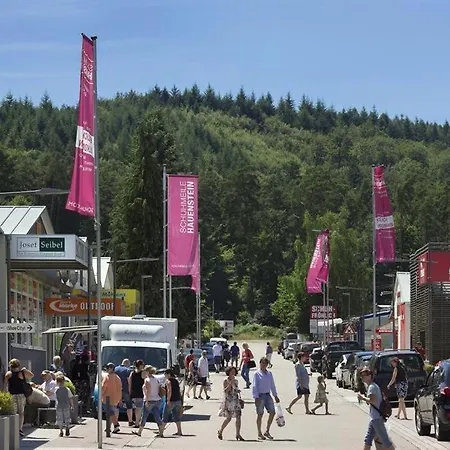 Appartement Schoene Mitten Im Pfaelzerwaldgebiet Leimen (Palatinate)