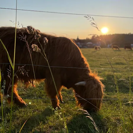 Schoene Mitten Im Pfaelzerwaldgebiet Leimen (Palatinate)