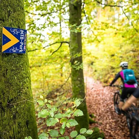Schoene Mitten Im Pfaelzerwaldgebiet * Leimen (Palatinate)