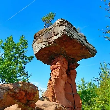 Schoene Mitten Im Pfaelzerwaldgebiet