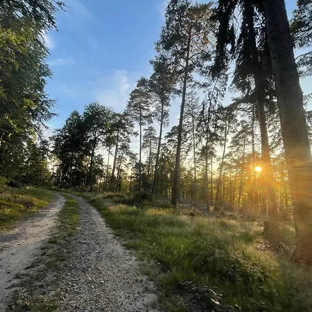Schoene Mitten Im Pfaelzerwaldgebiet *