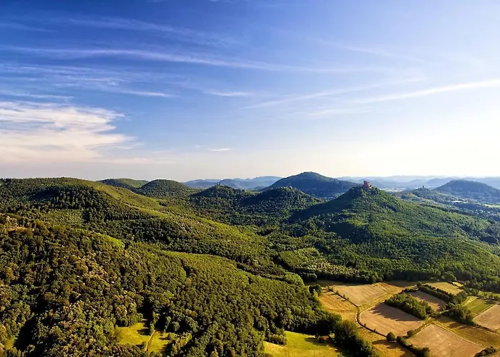 Schoene Mitten Im Pfaelzerwaldgebiet Apartment *