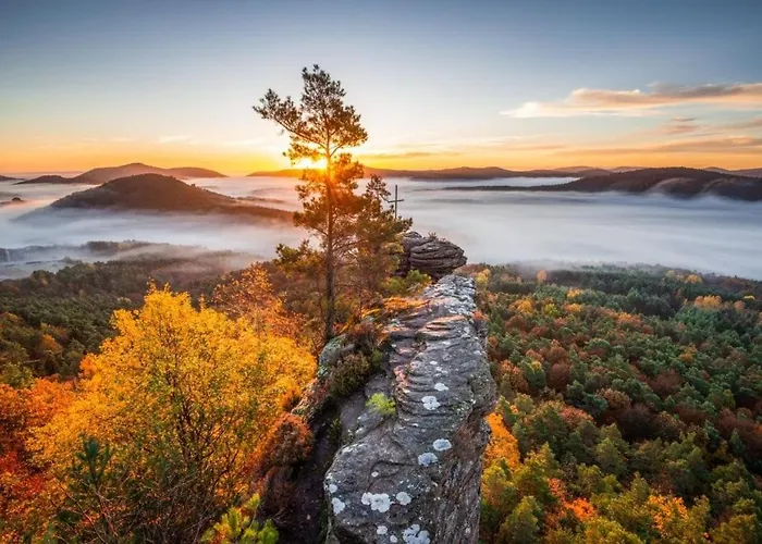 Apartment Schoene Mitten Im Pfaelzerwaldgebiet