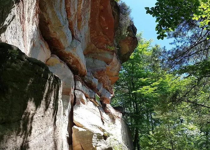Schoene Mitten Im Pfaelzerwaldgebiet Lägenhet *