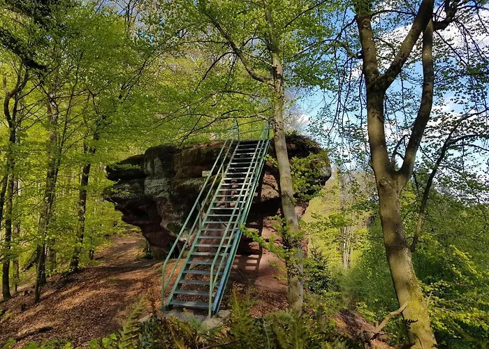 Lägenhet Schoene Mitten Im Pfaelzerwaldgebiet