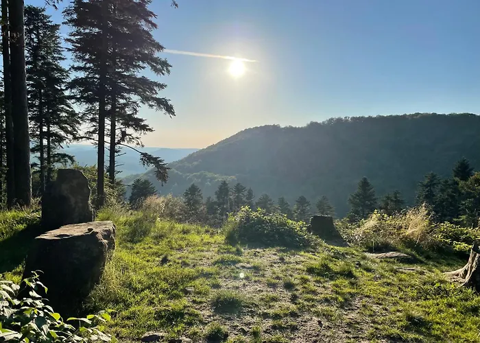 Apartment Schoene Mitten Im Pfaelzerwaldgebiet