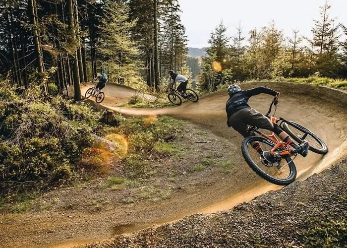 Schoene Mitten Im Pfaelzerwaldgebiet Apartment Leimen (Palatinate)