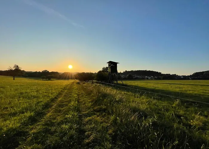 Schoene Mitten Im Pfaelzerwaldgebiet *