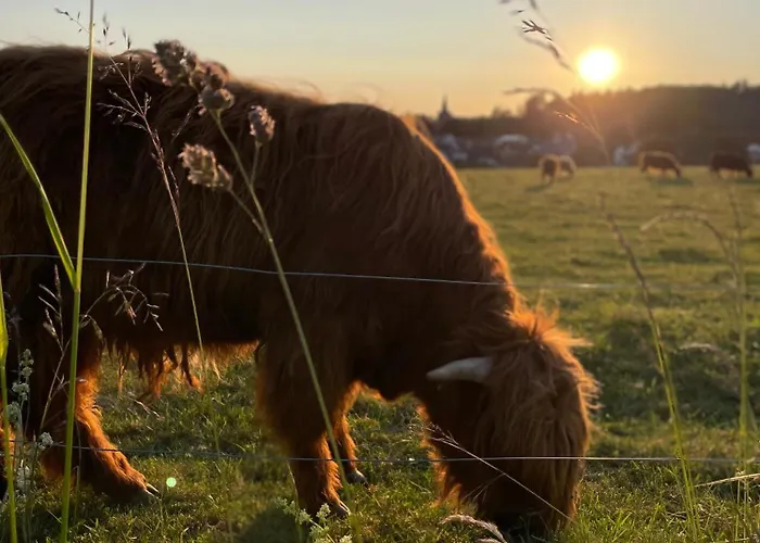 Schoene Mitten Im Pfaelzerwaldgebiet Leimen (Palatinate)