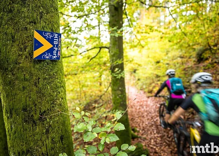 Schoene Mitten Im Pfaelzerwaldgebiet * Leimen (Palatinate)