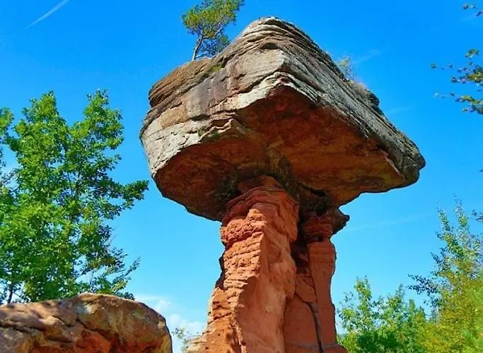 Schoene Mitten Im Pfaelzerwaldgebiet